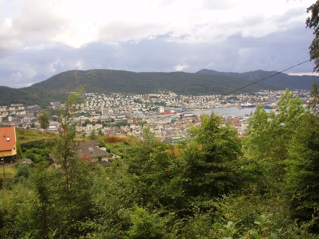 さっきまであれほど晴れていたのに、この辺からまた雨が。よりによって上っている最中なのに。幸い小雨で済みました。