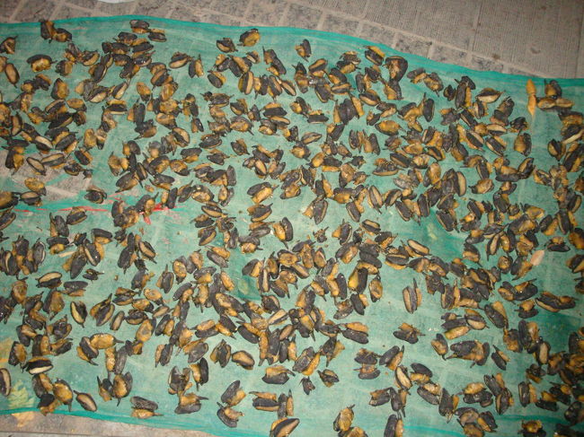 こっちも気持ち悪い