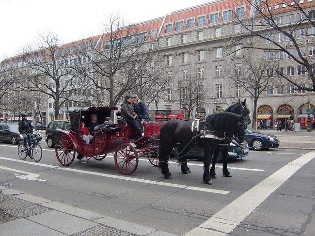 続いてはマイセンのお店へ。この日は土曜日で、翌日は閉店日。ゲットのチャンスは今日限り。そして迫りくるベルリンフィルの開演時間…。<br /><br />「欲しいな〜欲しいな〜」とカードを手に呟きつつためらう母（マイセンって高いんだね。しかも大体はセット販売だし）<br />「買ってやるよ」というだけの財力はない私。<br />さぁ開演時間は近い。<br /><br /><br />…結局、比較的手ごろな価格のものを購入し、ベルリンフィルへ。この後は、「とにかくマイセンが割れないように」が第一となる。