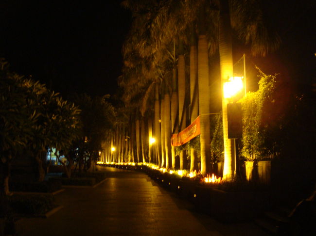 綺麗に整備されてて気持ちがいいです。