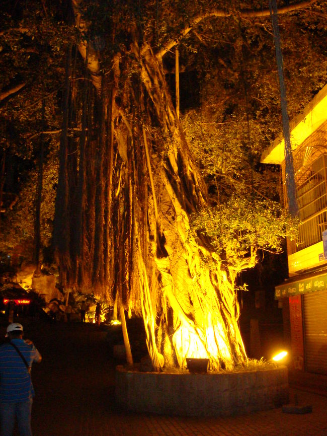 ライトアップが綺麗です。<br />日中より夜がいいですね。