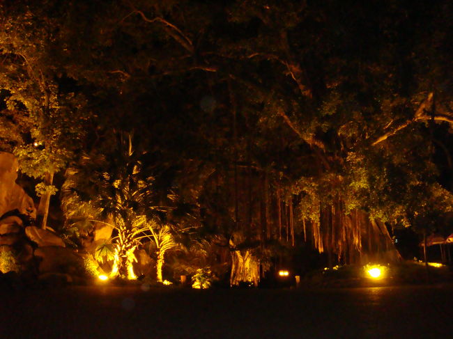 南国の雰囲気タップリ