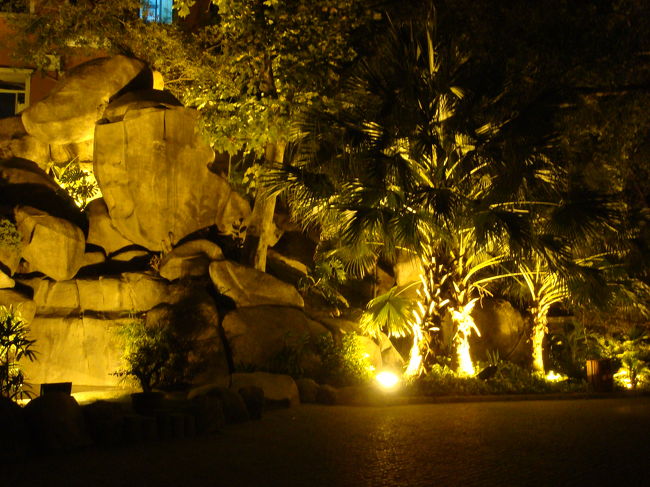 これも南国っぽい