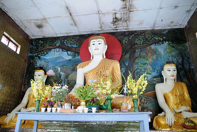 そして<br /><br /><br />やけに色白♪<br /><br /><br />原色♪<br /><br /><br /><br />このゆるさがっ。。。。<br />