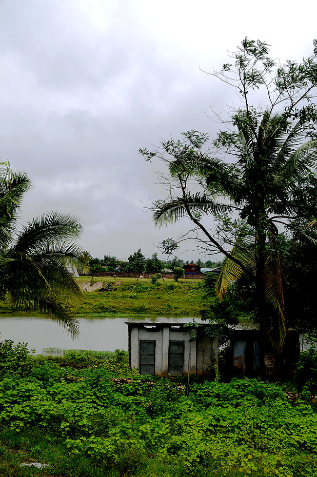 <br /><br />奥に見えるのが、昔、鰐を飼っていた池。