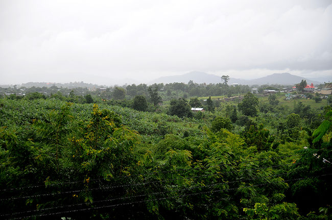 寺からみつめるタイとのボーダー。<br /><br /><br />緑だ。