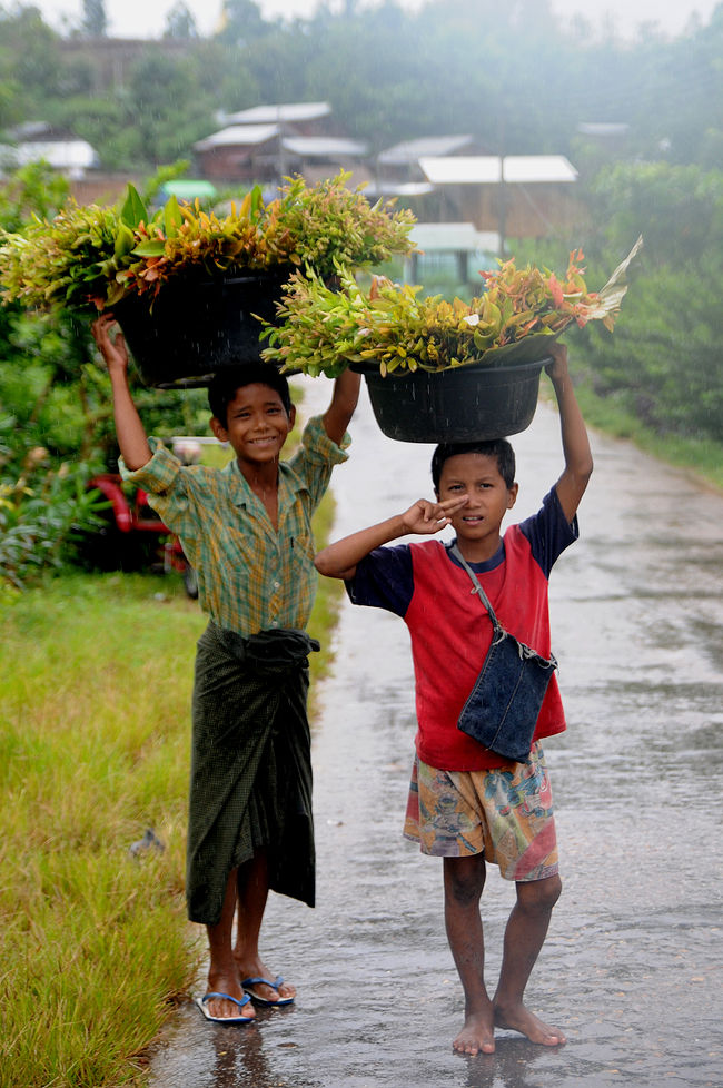 雨のなか、花を売る少年たち。<br /><br /><br /><br />こうしたお花は、お寺や仏壇へのお供えとして売られています。<br />ミャンマーの皆さんは、毎日お花を買って、お寺や仏壇に供えるそうです。