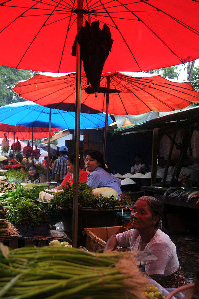 <br />の〜んびり　客を待つ。