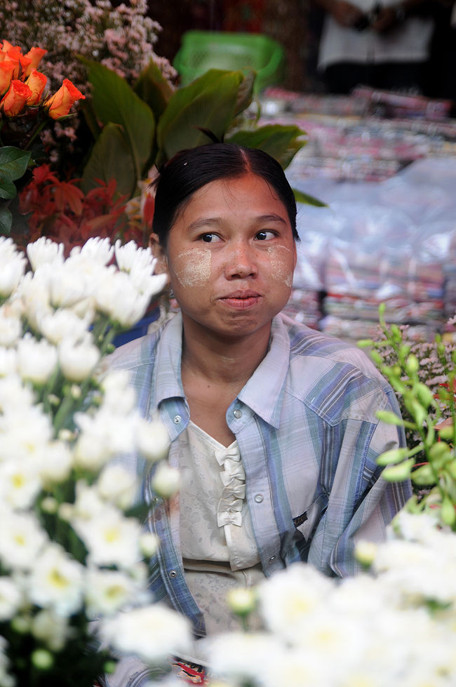 <br /><br />はにかみ