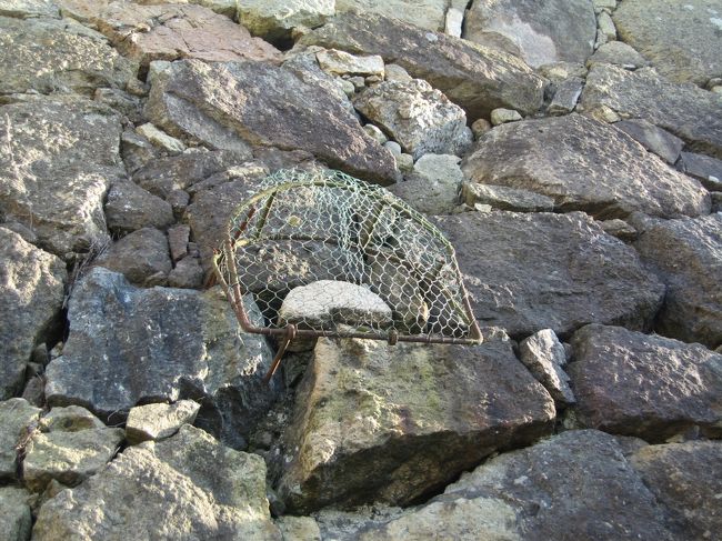 これが「姥が石」です。