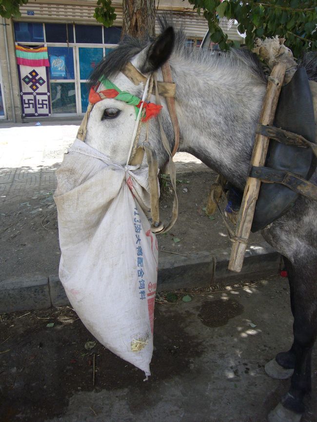 <br />えさ、欲張りすぎっしょ(笑)<br /><br />