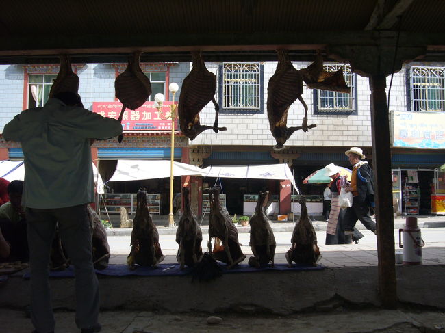 <br />干してある肉<br /><br /><br />恐竜っぽい<br />