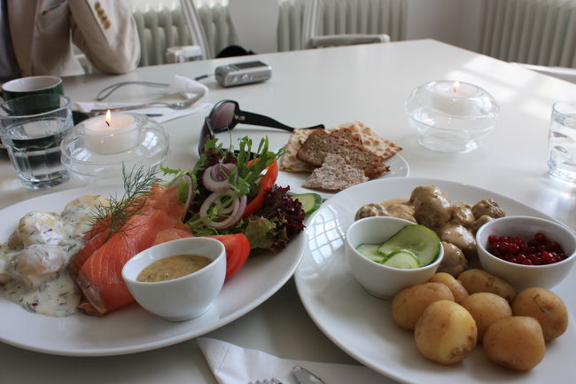 注文したのはサーモンのホワイトクリーム添えと名物の肉団子。私はヨーロッパのこの蒸しただけというじゃがいもが大好き。素朴で裏切らないおいしさ。<br /><br />ここの料理があまりにもおいしすぎた結果北欧への期待度が高まり、後々散々なことに。笑<br /><br />東京でもなかなか食べれないほどのおいしい料理でした。<br />