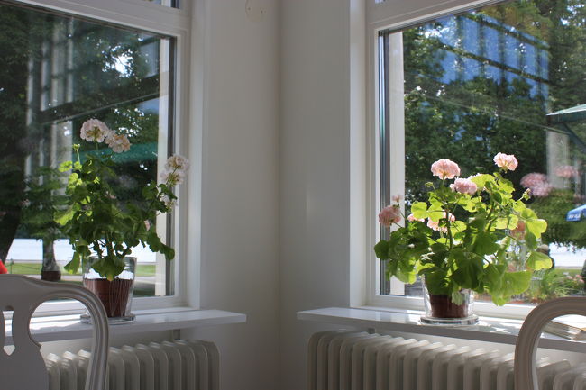 カフェの内装。<br />やさいしい、やさいしい気持ちにになれる