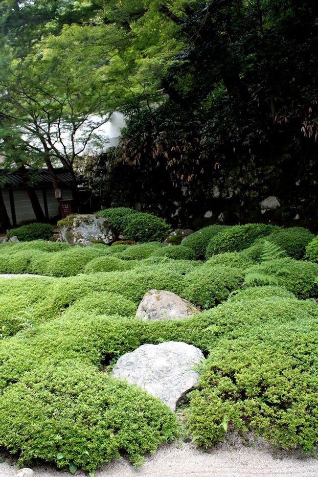 石の数は全部で26個。<br />ちゃんと数えました。