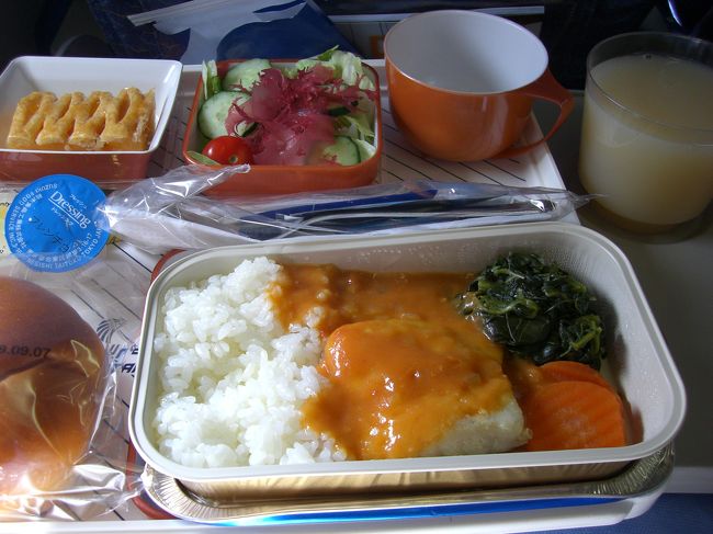 乗って少しすると、機内食のサービス。<br />ビーフとフィッシュから選べます。私は魚をチョイス。<br />日本で積んでいるからか、めちゃくちゃおいしい！<br /><br />飲み物はグァバジュース。エジプトのは白いです。これも美味！！