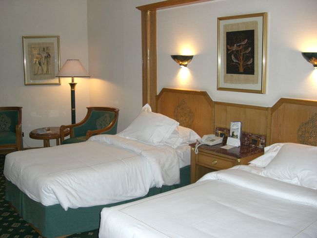 お部屋はなかなかきれいにしてありました♪<br />壁にはパピルスが飾ってありました。<br /><br />明日は8時半集合か・・・団体行動だから、寝坊は厳禁か（・・）