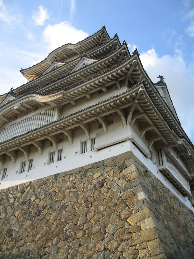 相方が白い石を見つけました。<br /><br />その石を見てみると…