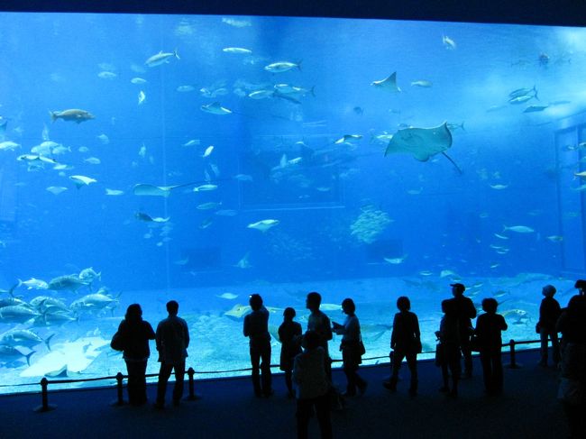 美ら海水族館