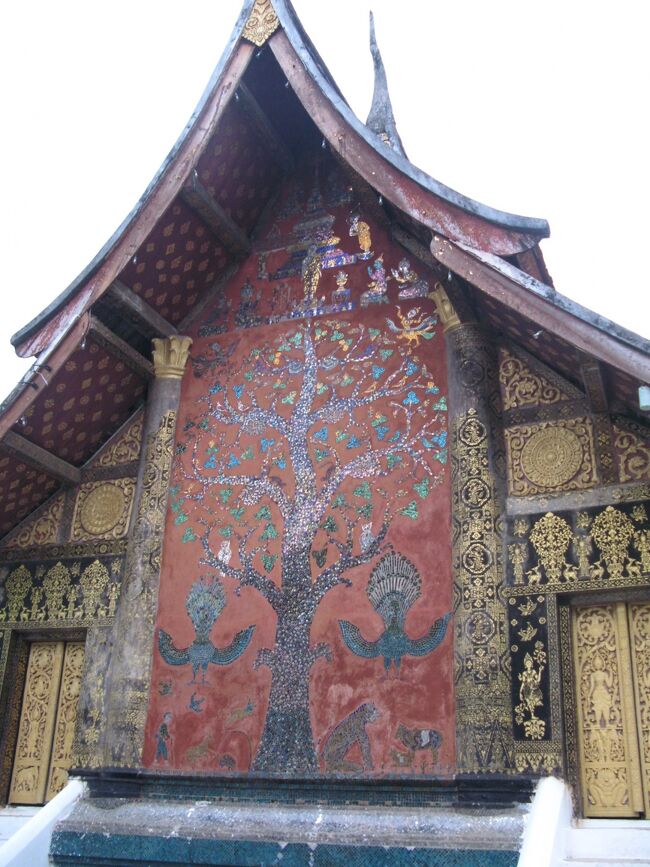 マイトン（黄金の木） <br />