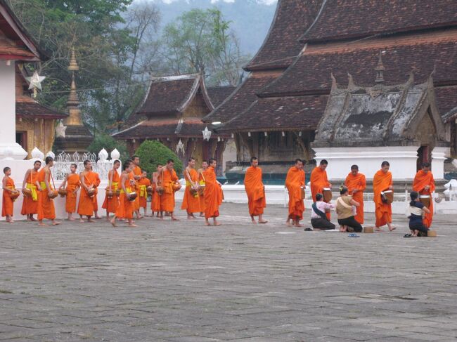 Pindapata(托鉢)が始まる・・・<br /><br />ワットシェントンを出発する僧侶<br />