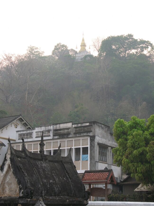 ワットマイより、プーシーのタートチョムシー