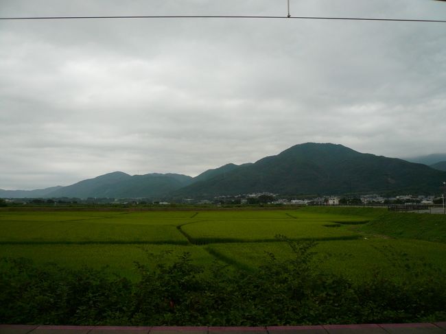 夜が明けて、亀岡から醍醐寺へ電車で向かいます。<br /><br />生憎の曇り空ですが、何とかもちました。<br /><br />二条駅で乗り換え、地下鉄で醍醐駅下車、徒歩10分で目的地に。