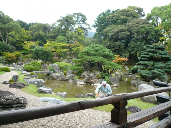 職人さんが黙々と手入れしていました。