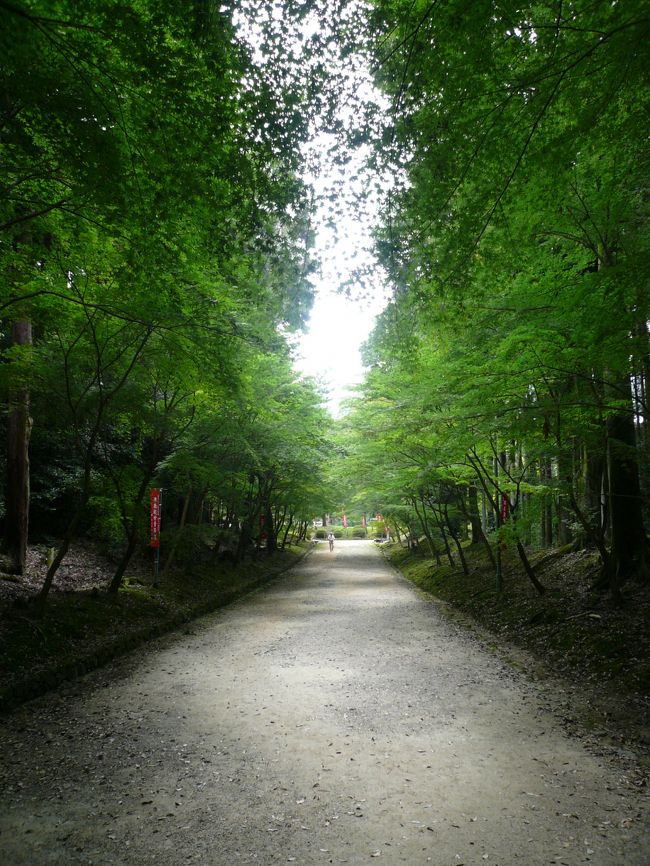 もみじの道を歩き、