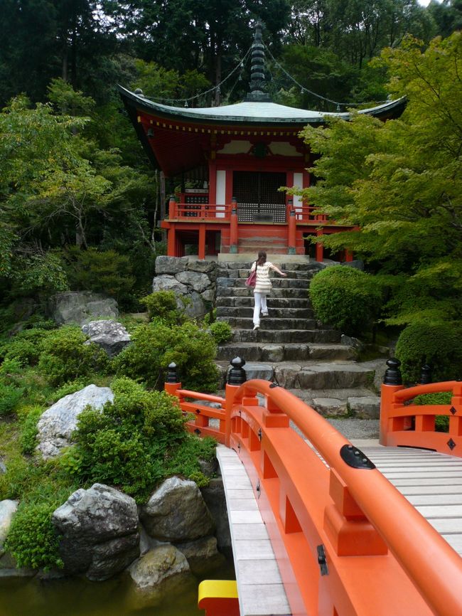 弁天橋と弁天堂まで行き、引き返しました。<br /><br />上醍醐は、数年前の雷で焼け、現在は復旧作業中とのことでした。<br /><br /><br /><br />醍醐寺より京都市内に行きました。