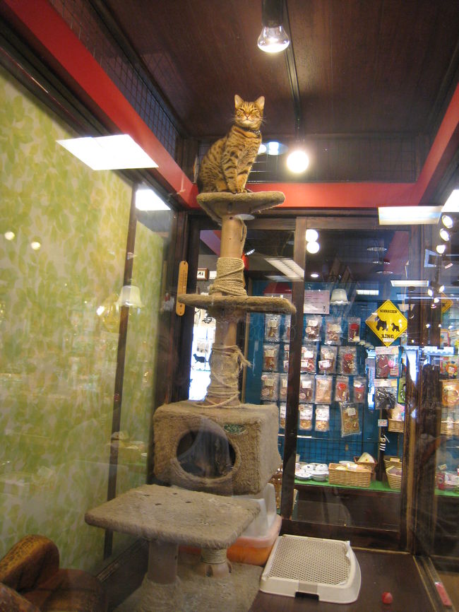 タワー高すぎ！！