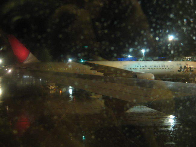 大して揺れることも無く、<br />２０時３０分には無事にセントレアに到着☆<br /><br />初めての韓国、<br />観光も買い物もとっても楽しかったです♪<br />食べ物も美味しかった♪♪<br /><br />２泊３日は本当にあっと言う間でしたが、<br />充実した時間を過ごせました☆<br />今度はもう少し長く行きたいな〜☆☆<br /><br /><br />