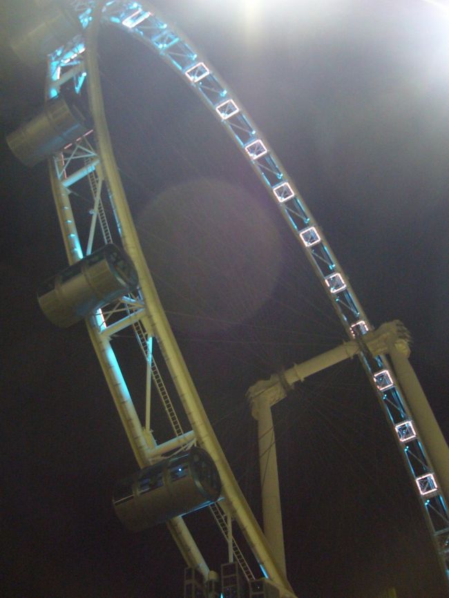 観るぞ♪観るぞ♪：シンガポール・フライヤー その1<br /><br />大観覧車シンガポール・フライヤー。<br />友人が乗ったことないとのことなので、夜景見物がてら行ってみることに。<br />