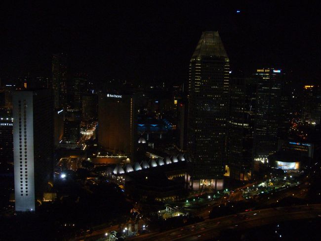 観るぞ♪観るぞ♪：シンガポール・フライヤー その6<br /><br />てっぺん到達！<br />100万ドルの夜景？にうっとり。
