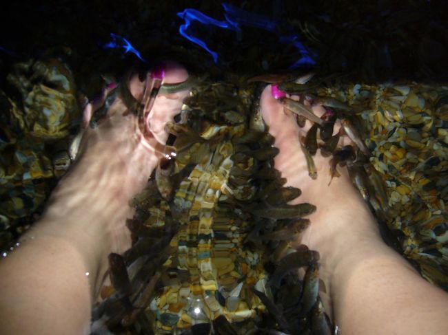 日本にもあると思いますが… Dr's Fish+マッサージで<br />疲れた体をリフレッシュ☆<br /><br />お魚さんにたっぷり角質食べられて、足の裏つるつる！(写真見苦しくて、失礼 汗)