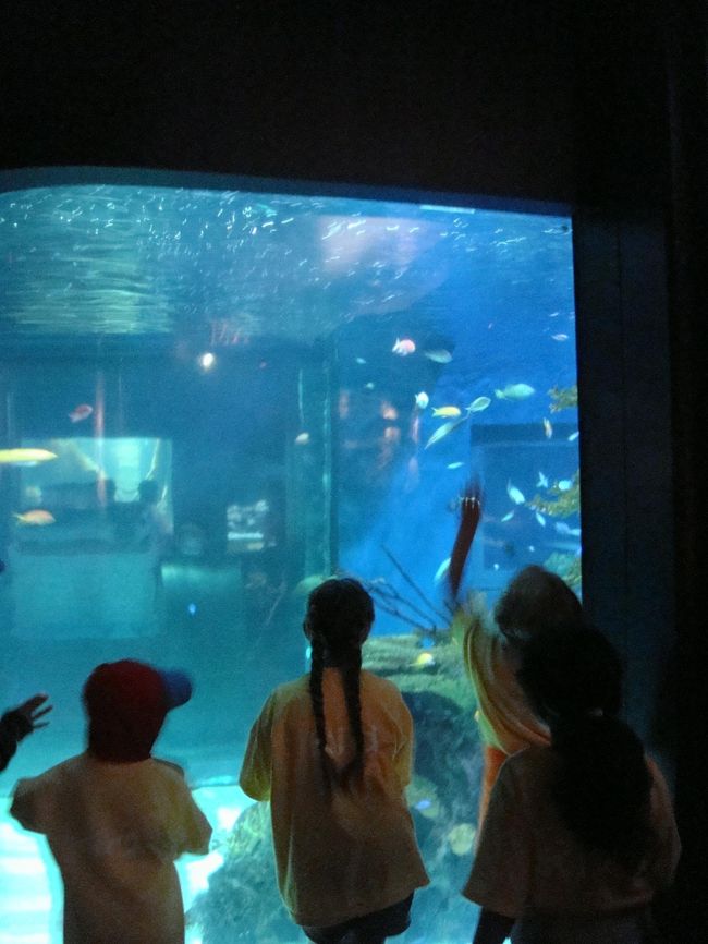 みんな夢中です