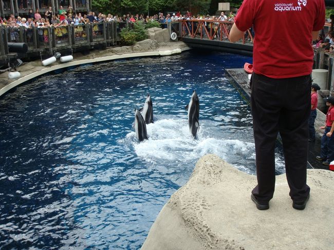 イルカのショー<br />おにーさんの真後ろだった・・・