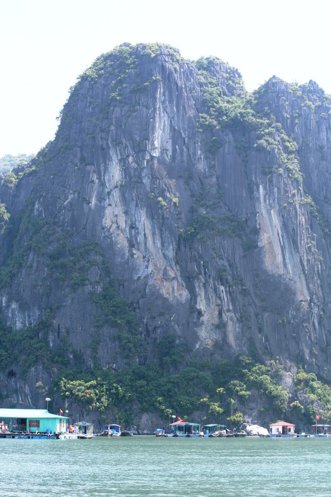 切り立った崖を持つ島のアップです。海の部分を切り取れば、中国山水画の世界です。定期的に岩が崩れ落ちているようにも見受けられます。