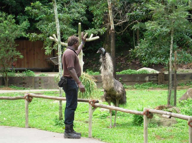 飼育員が立っている場所まで、観光客も行けます。<br />めちゃ近い！
