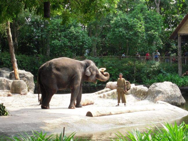 帽子を持って〜〜