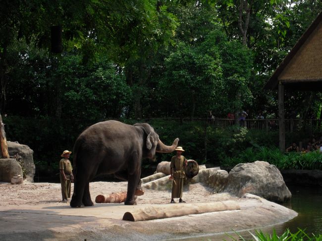 被せました（笑）
