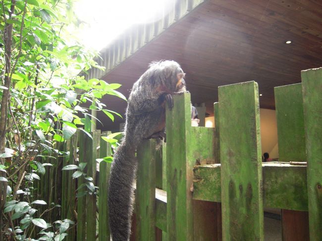 手が届くところにいますよ