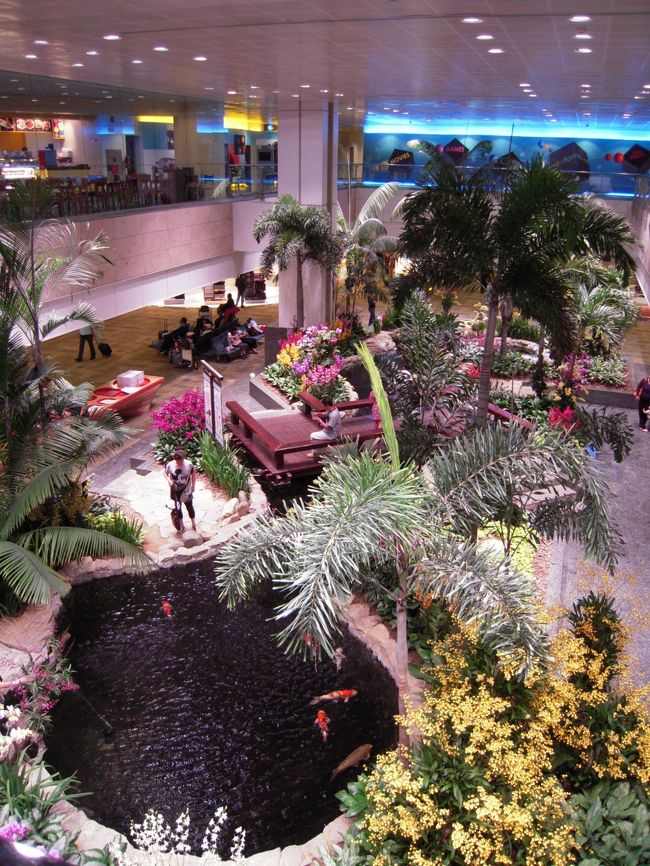 チャンギ国際空港の中です。池があります