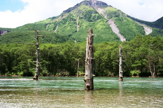 期待していた大正池はだんだん水が少なくなり、かっての深い水をたたえていた頃の面影は全然ありません。がっかりしました。