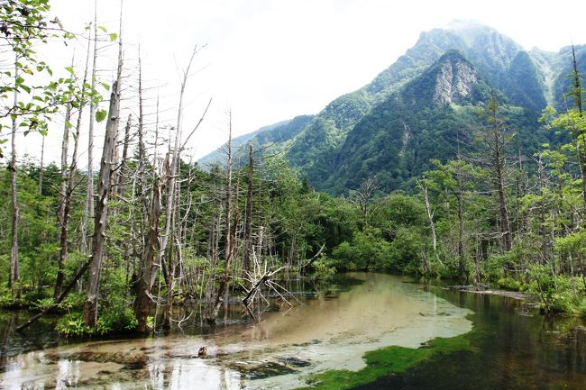 この日の後半は明神池に向かいましたが、時間的にかなり難しそうで、途中で断念しました。