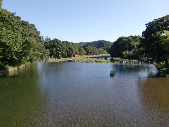 巾着田までの１コマ。<br />水がとても澄んでます。<br />天気もよく川遊びする人、<br />つりをする人、<br />のどかです。