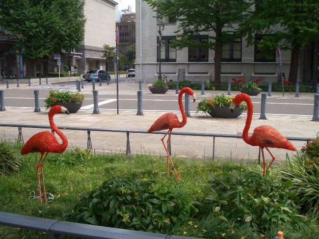 赤いのもいました。<br />カワイイですね。