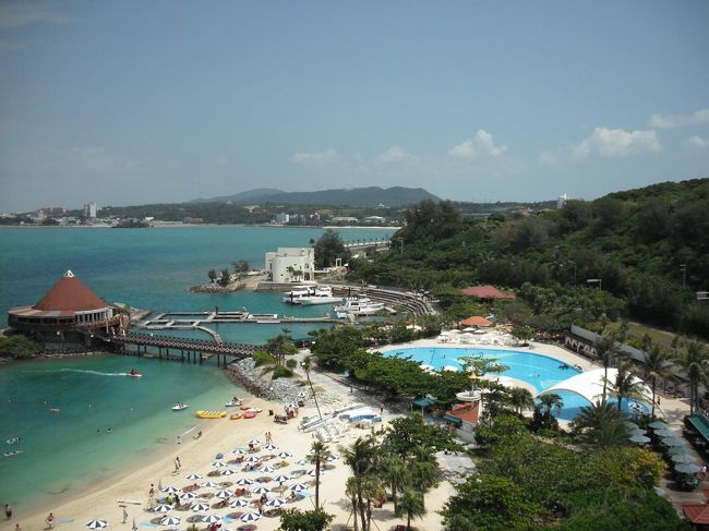 私はシュノーケルの手軽さと楽しさに目覚め、その後、毎年沖縄の海を訪れた。しかし、ある年を境に沖縄のサンゴがほぼ全滅してしまった。