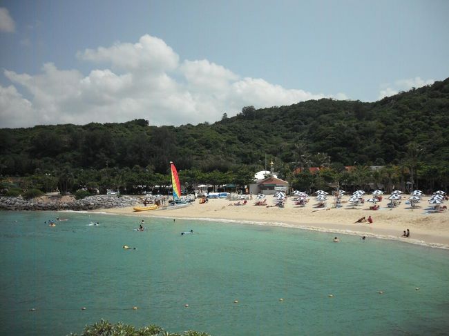 2000年の夏に来てみると死滅したサンゴが骸骨のように横たわり竜宮城は消失してしまった。シュノーケルをしながら泣けてきた。あれから９年。沖縄のサンゴはどうなったのか？今回、大いに期待して恩納村にやってきた。