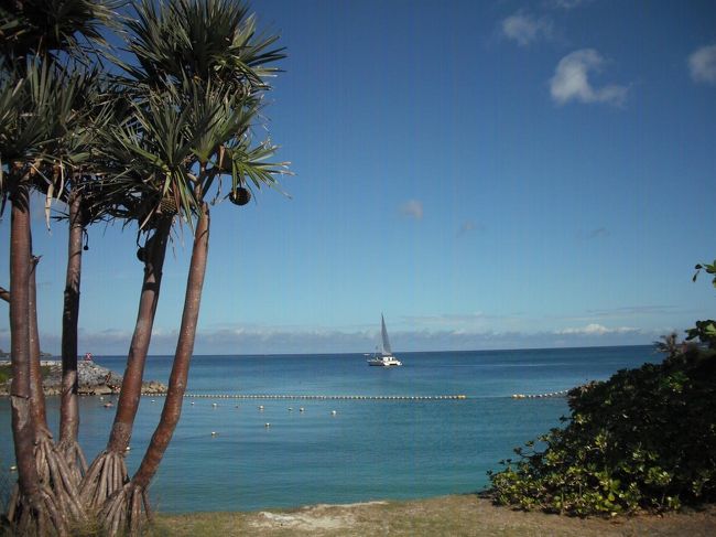 早朝から沖合いにヨットが出ている。こんな早くから誰が出航しているのであろう‥‥。